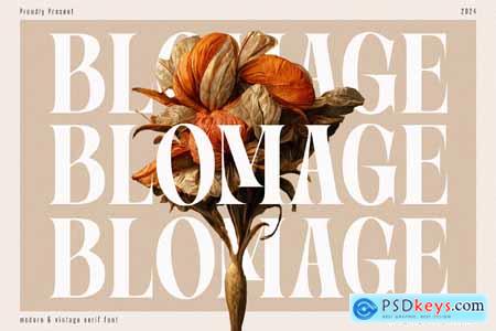 Blomage - Bold Serif Font