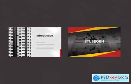 Stubborn - Academic Presentation