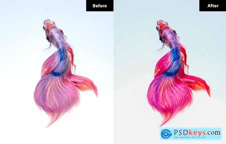 6 Seahorse Lightroom and Photoshop Presets