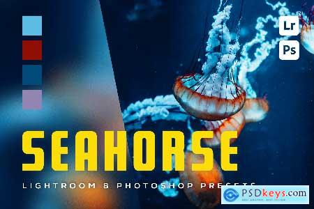 6 Seahorse Lightroom and Photoshop Presets