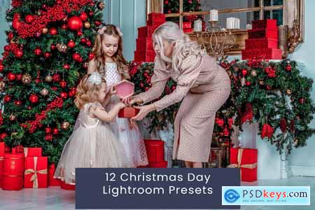 12 Christmas Day Lightroom Presets