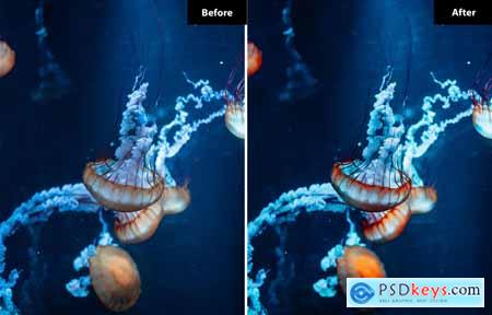 6 Seahorse Lightroom and Photoshop Presets