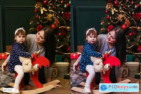 12 Christmas Day Lightroom Presets