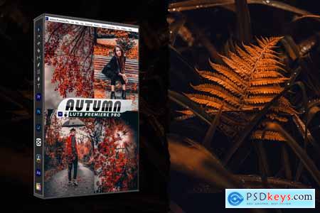 Autumn Presets And luts Video Premiere Pro