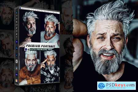HDR Portrait Presets & luts Video Premiere Pro