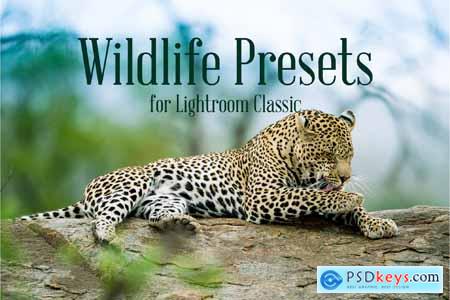 Wildlife Presets for Lightroom Classic