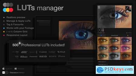 LUTs Manager Preview LUTs In Real-time Tool & 500 Professional LUTs 55855580