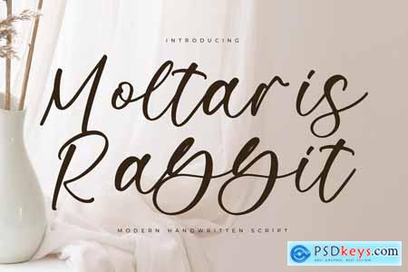 Moltaris Rabbit