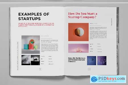 Startup Company Brochure Template