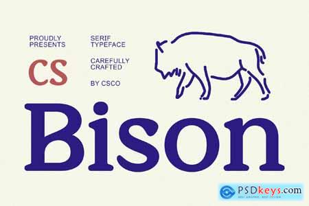 Bison  Retro Font