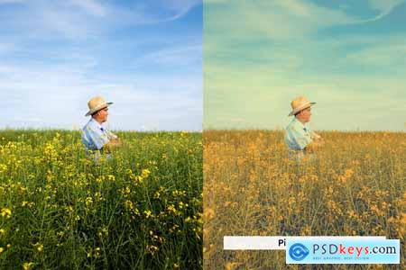 20 Playful Pastel Lightroom Presets and LUTs