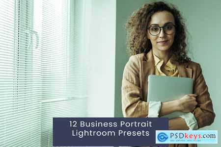 12 Business Portrait Lightroom Presets