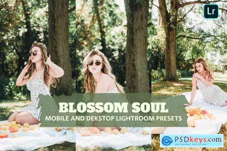 Blassom Soul Lightroom Presets Dekstop and Mobile