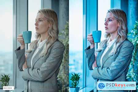 12 Business Portrait Lightroom Presets