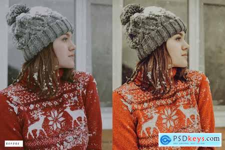 12 Golden Christmas Lightroom Presets