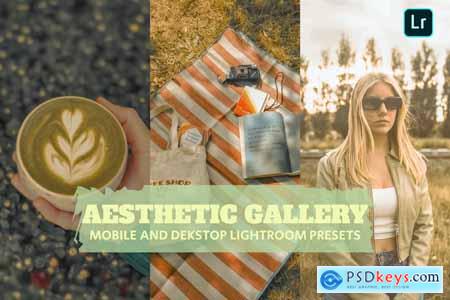 Aesthetic Gallery Lightroom Presets Dekstop Mobile