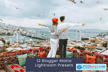 12 Blogger Matte Lightroom Presets