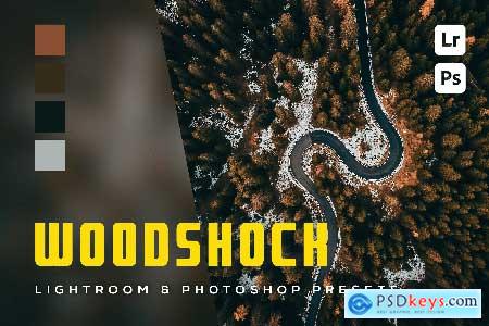 6 Woodshock Lightroom and Photoshop Presets