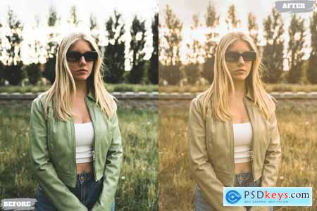 Aesthetic Gallery Lightroom Presets Dekstop Mobile