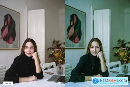 12 Business Portrait Lightroom Presets