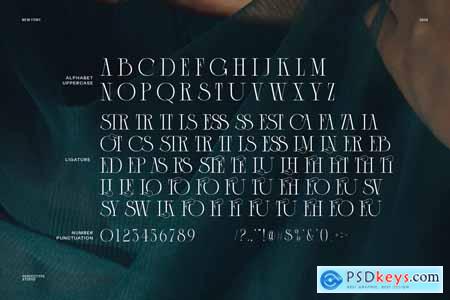 Fox Thess Elegant Serif Font