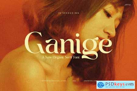 Ganige Elegant Serif Font