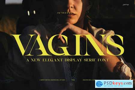 Vagins Vintage Serif Font