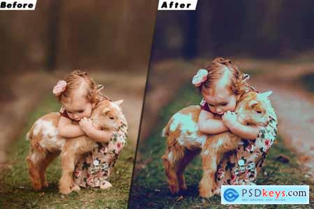 Insta Blogger Lightroom Preset & luts Premiere Pro