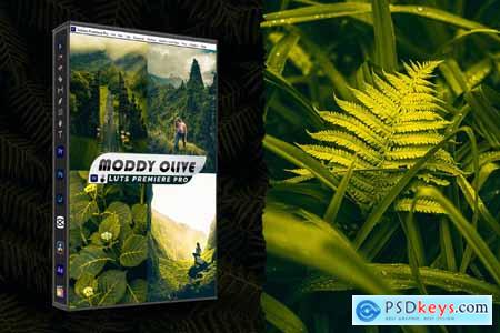 Moody Olive Lightroom Presets & luts Premiere Pro