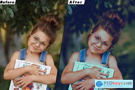 Insta Blogger Lightroom Preset & luts Premiere Pro