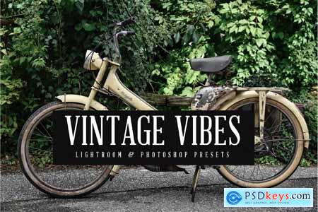 Vintage Vibes Lightroom and Photoshop Presets