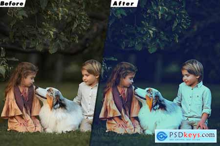 Insta Blogger Lightroom Preset & luts Premiere Pro