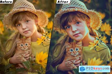 Insta Blogger Lightroom Preset & luts Premiere Pro