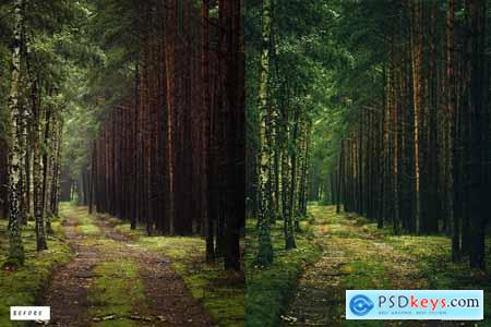 12 Nature Lightroom Presets