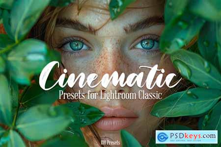 Cinematic Presets for Lightroom Classic