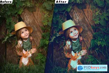 Insta Blogger Lightroom Preset & luts Premiere Pro