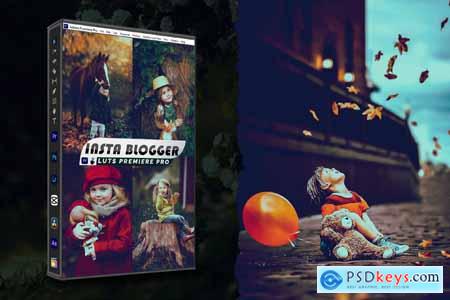 Insta Blogger Lightroom Preset & luts Premiere Pro