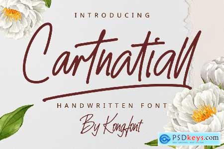 Cartnatiall - A Handwritten Font