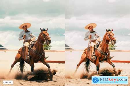 12 Rodeo Lightroom Presets