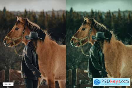 12 Rodeo Lightroom Presets