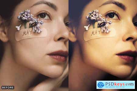 AI Skin Retouch Portrait Lightroom Presets