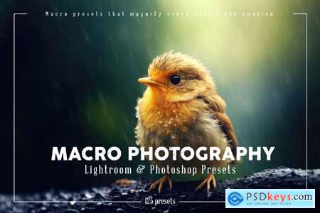 Macro Photography Lightroom and Photoshop Presets