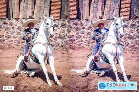 12 Rodeo Lightroom Presets