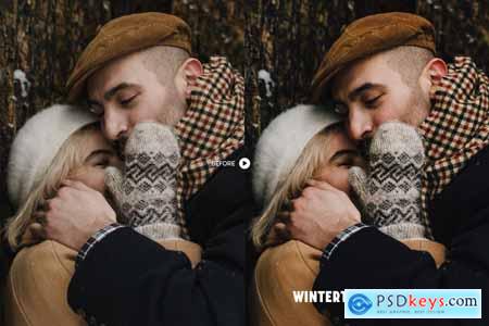 Wintertone Lightroom Presets