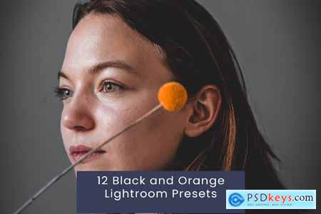 12 Black and Orange Lightroom Presets