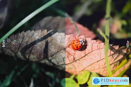 Macro Photography Lightroom and Photoshop Presets