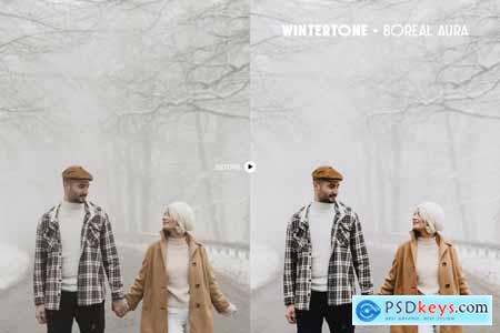 Wintertone Lightroom Presets