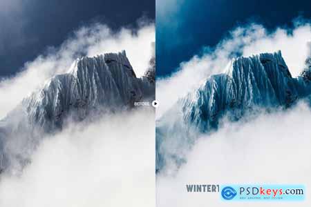 Wintertone Lightroom Presets