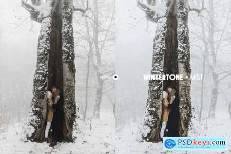 Wintertone Lightroom Presets