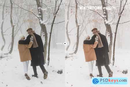 Wintertone Lightroom Presets